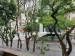 Apartamento à venda com 5 dormitórios no bairro Santa Cecilia em São Paulo - SP