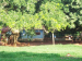 Chácara, Sítio ou Fazenda à venda no bairro Zona Rural em Monte Alegre de Minas - MG