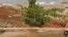 Terreno à venda no bairro Residencial Campo Belo em Jaú - SP