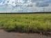 Terreno à venda no bairro Condominio Europa Iii em Jaú - SP