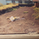 Terreno à venda no bairro Residencial Campo Belo em Jaú - SP