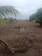 Terreno à venda no bairro Condomínio Laguna Castelan em Jaú - SP