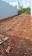 Terreno à venda no bairro Jardim Dona Emília em Jaú - SP
