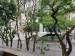 Apartamento à venda com 5 dormitórios no bairro Santa Cecilia em São Paulo - SP