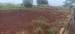 Terreno à venda no bairro Residencial Campo Belo em Jaú - SP