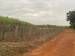 Terreno à venda no bairro Venda Seca em Jaú - SP
