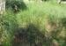 Terreno à venda no bairro Jardim Antonina em Jaú - SP