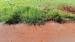 Terreno à venda no bairro Jardim América em Jaú - SP