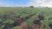 Terreno à venda no bairro Jardim América em Jaú - SP