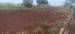 Terreno à venda no bairro Residencial Campo Belo em Jaú - SP