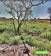 Terreno à venda no bairro Jardim Padre Augusto Sani em Jaú - SP