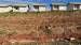 Terreno à venda no bairro Residencial Cidade Alta em Jaú - SP