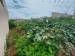 Terreno à venda no bairro Jardim Novo Horizonte em Jaú - SP