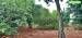 Terreno à venda no bairro Vila Assis em Jaú - SP