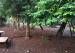 Terreno à venda no bairro Chácara Braz Miraglia em Jaú - SP