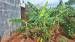 Terreno à venda no bairro Jardim Netinho Prado em Jaú - SP